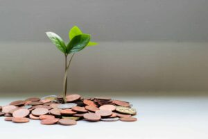 A Importância das Fintechs para a Inclusão Financeira no Brasil