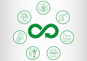 Como aplicar a economia circular no seu dia a dia e economizar em tempos de altos custos